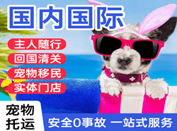保山云瑞航空货运国际宠物托运 【国